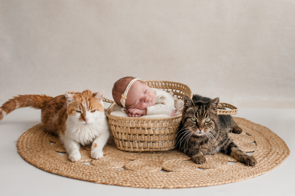 Babyfotos zuhause, Neugeborenenshooting, Steyr